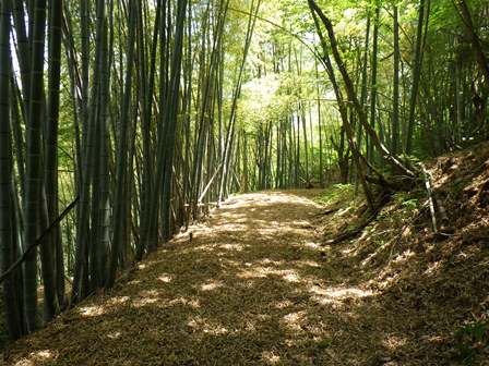 中国自然歩道　三朝高原