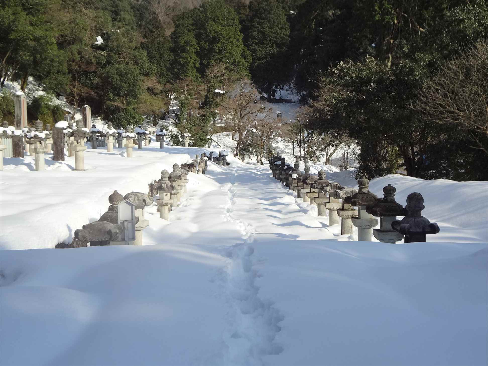 豪雪被害状況1