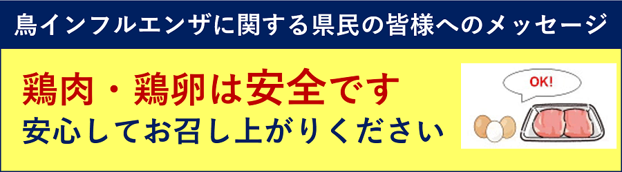 鶏肉・鶏卵は安全です