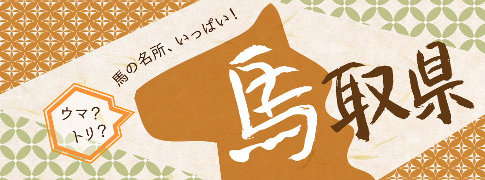 午年開運神社巡り