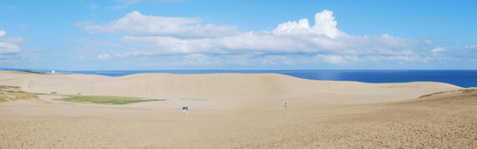 砂丘の写真