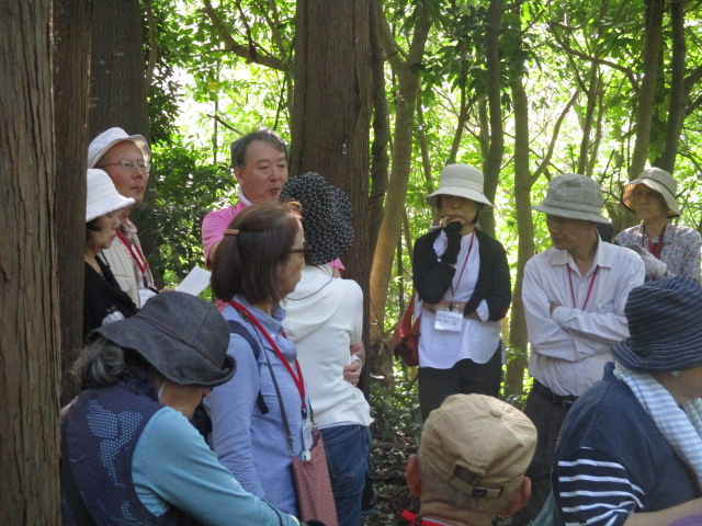 鳥取市古郡家１号墳の見学。