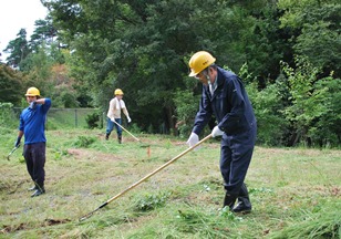 刈り取った草を集積する様子