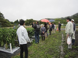 圃場案内の様子