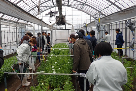 花きの圃場案内