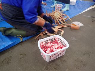 赤タグ（キチンキトサン入り因州和紙のブランドタグ）の装着