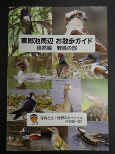東郷池周辺お散歩ガイド