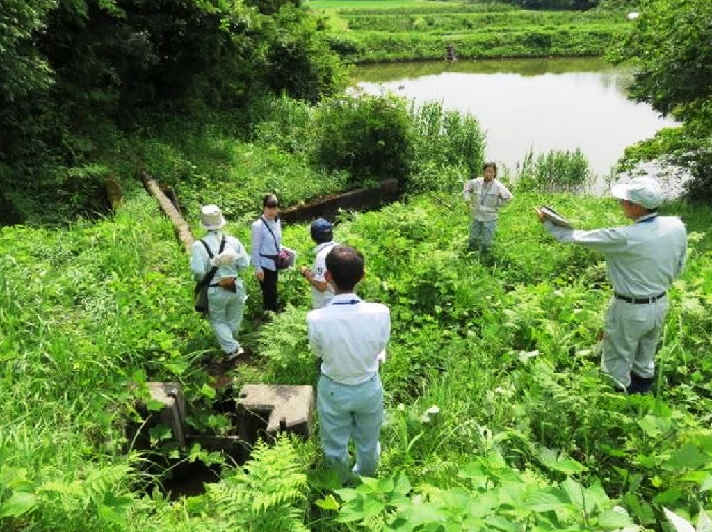 現地調査状況その3