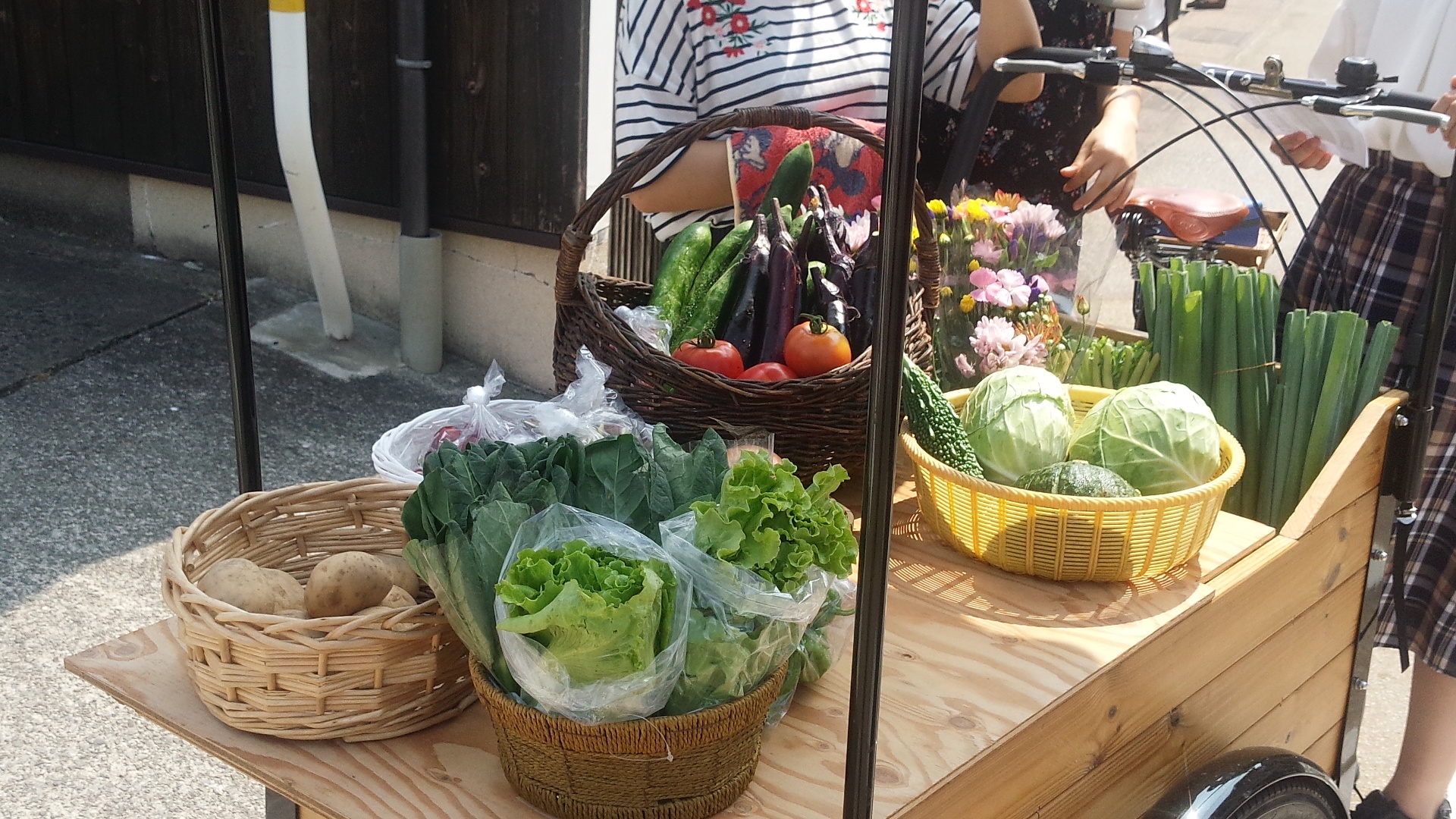 今日の野菜