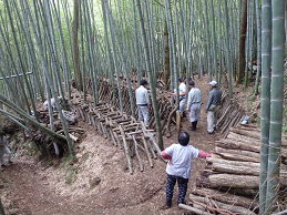 しいたけ生産者支援１