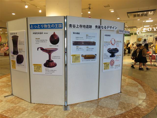 展示様子