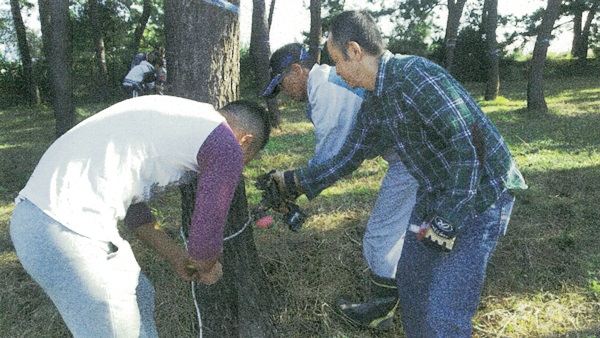 活動写真