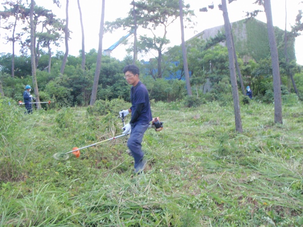 活動写真