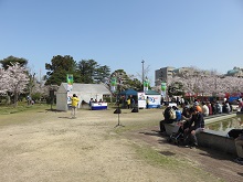 2018米子桜まつり1