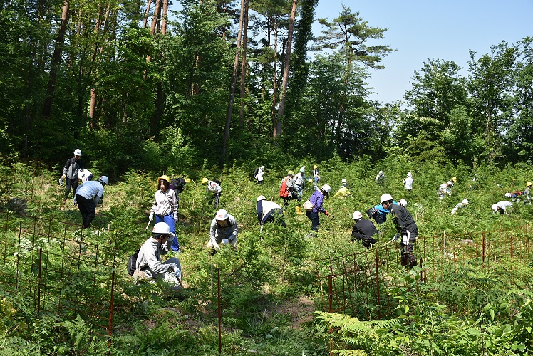 みんなで草刈り作業