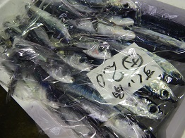 kaku