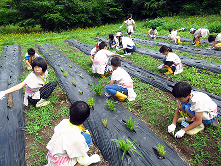 弥生の畠草刈りの様子