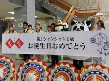 シャンシャン　1歳誕生日お祝いセレモニー2