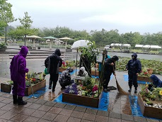 大雨です