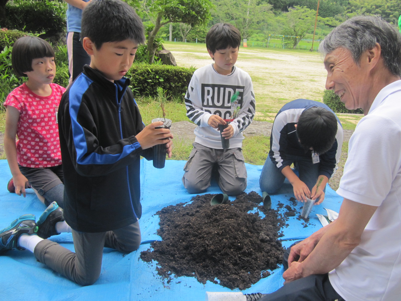 苗木の植替え作業