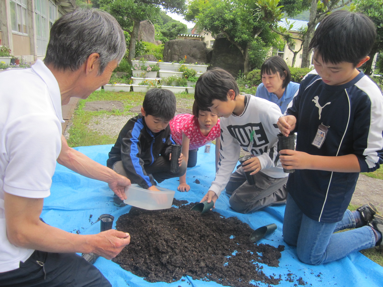 種まき作業