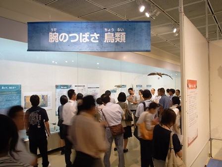 展示解説2