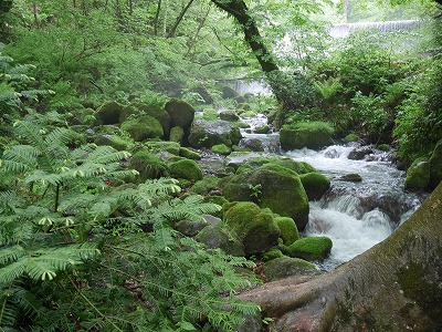 木谷沢