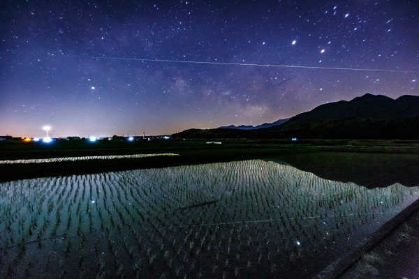 受賞作発表 流れ星に願いを 星取県チャレンジ キャンペーン とりネット 鳥取県公式サイト