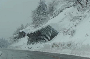 雪崩予防柵