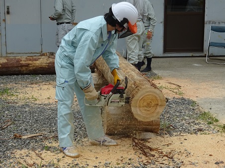 伐木特別教育の様子