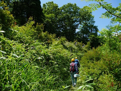 八幡山登山