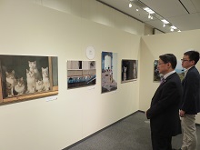 岩合光昭写真展「ねこ」2