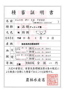 トットリデー 10 7232の種畜証明書