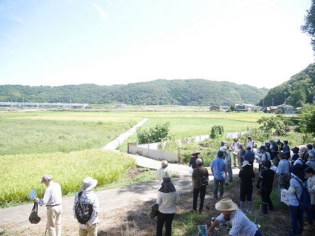 善田遺跡