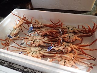 タグ付きの親がに