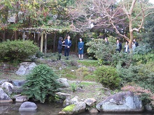 視察2