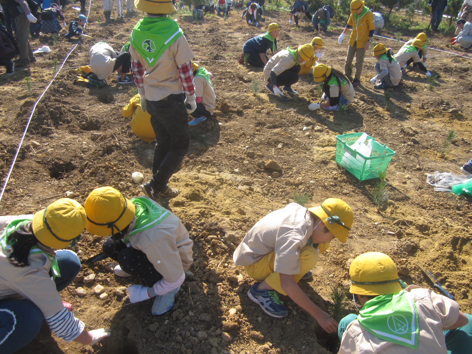 植樹活動(全体)