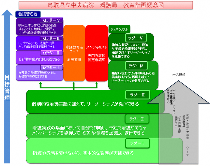 クリニカルラダー