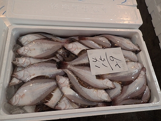 ソウハチ(えてがれい)