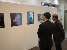 全日本写真連盟「第35回日本の自然」展示会2