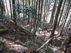 ２.曲輪と堀・土塁