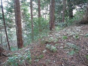 ３．土塁上に残されたつぶて石