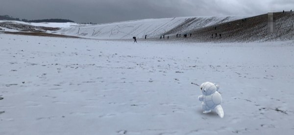 冬来たる　鳥取砂丘も　雪化粧