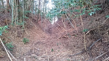 からぼりの写真