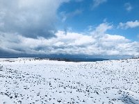 雪晴の 砂丘や銀に 光りつつ