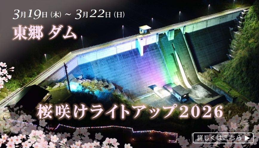 東郷ダム桜咲けライトアップ