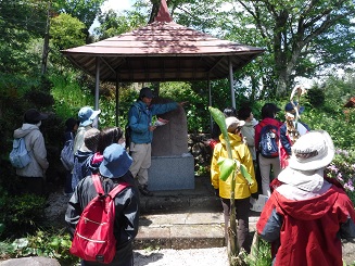 大寺廃寺のしび