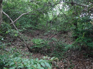 平坦面