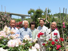 バラ園2