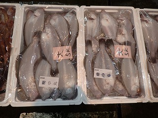 ムシガレイ（紋がれい）